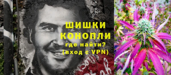 винт Бронницы