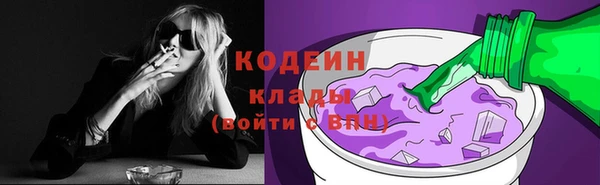 таблы Бородино