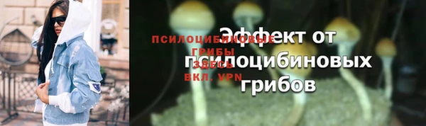 таблы Бородино