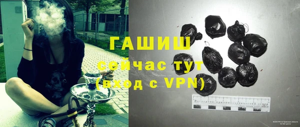 таблы Бородино