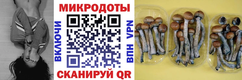 Галлюциногенные грибы мухоморы Киреевск